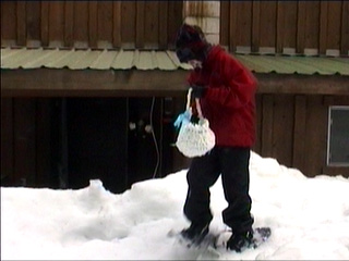 snowshoe Easter snowshoe Easter