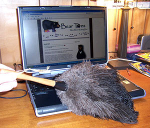 duster ostrich feather duster